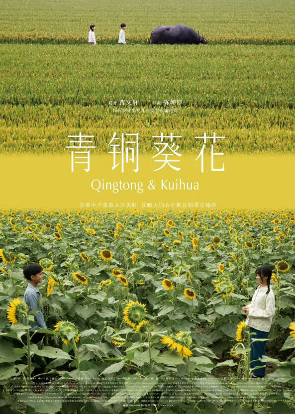 五八策略 中国儿童题材电影《青铜葵花》获俄罗斯电影节最佳摄影奖