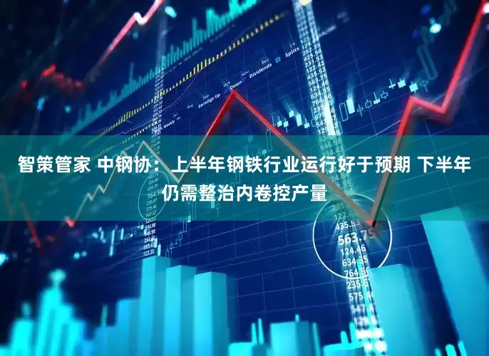 智策管家 中钢协：上半年钢铁行业运行好于预期 下半年仍需整治内卷控产量